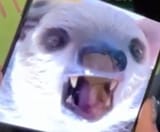 12018060411913