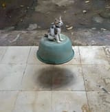 1692002165636216