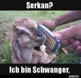 schw