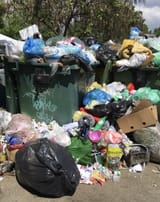 Trash bin 