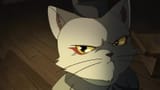 cat118