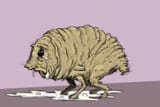07_squonk