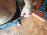 IMG_20250627_104326_209