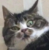 1682947406654609