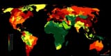 Fertility global