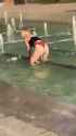 webm2_thumb.jpg
