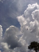 IMG_20250627_123023