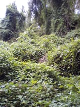 IMG_20250627_151105