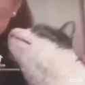 slykisskitty_thumb.jpg