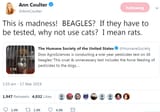 Ann Coulter cats