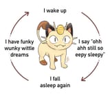 i wake up i am still sleepy meowth cycle