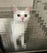 1705393300699827