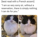 1751132702711947