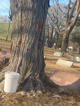 IMG_20250228_161158