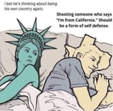 what the average texan thinks about