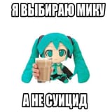 jpg