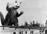 kotzilla