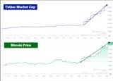 Anatomy of a ponzi