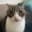 Thread 22878973 OP Image