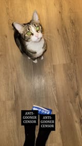 1735443718509914