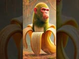 hqdefault-274783701