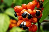 images - 2025-06-30T023654.850