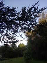IMG_20250630_072319