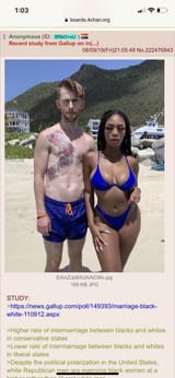 Thread 22881491 OP Image