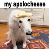 apolocheese