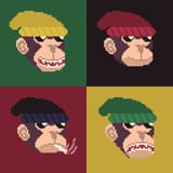 Macacos