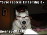 special kind of stupid