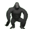 monkey