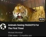 1732060350262847