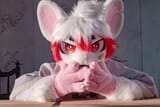 Thread 22887786 OP Image