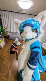 fursuit91