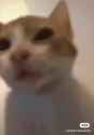 xhs_live_photo_1736886498540_thumb.jpg