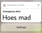 1732181924196334