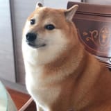 1727929312044736