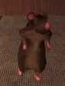 rat-dance_thumb.jpg