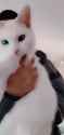 20250224_180853_thumb.jpg
