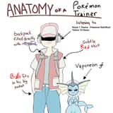 vaporeon gf anatomy of a pokemon trainer