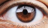 brown-eye