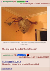thejewfearstheindoorhornetfarmer