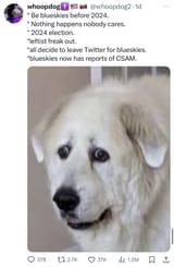 1731962778490643