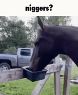 1719527086986677