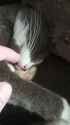 VID_20250709_121014_thumb.jpg