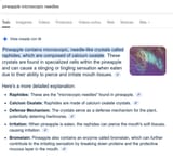 Screenshot 2025-07-10 at 02-21-49 pineapple microscopic needles - Buscar con Google