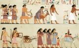 egyptian