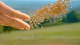 istockphoto-1403484792-612x612