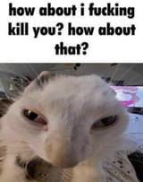 1747261220629107